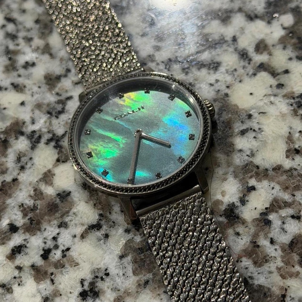 Coach Perry Iridescent Mother of Pearl Mesh Bracelet Watch Gunmetal